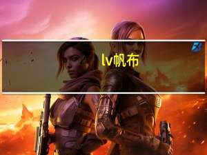 lv 帆布（关于lv 帆布的介绍）