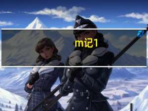 m记1+1（m记）