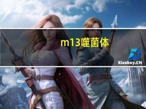 m13 噬菌体（M13噬菌体简介）