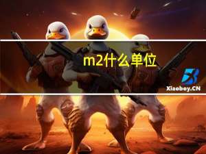 m2什么单位