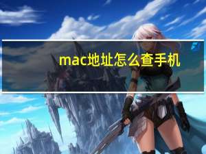 mac地址怎么查手机（手机mac地址查询）
