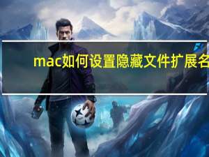 mac如何设置隐藏文件扩展名（如何隐藏文件扩展名）