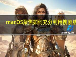 macOS聚焦如何充分利用搜索结果