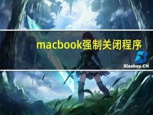 macbook强制关闭程序