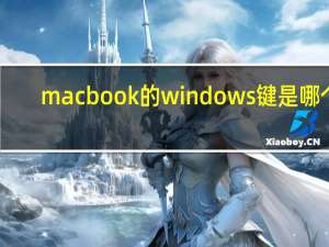 macbook的windows键是哪个（windows键是哪个）