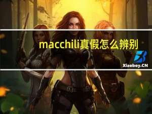 mac chili真假怎么辨别
