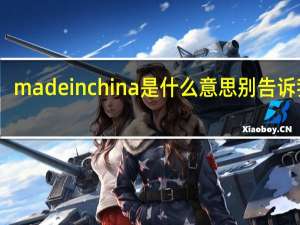 madeinchina是什么意思别告诉我是