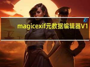 magicexif元数据编辑器 V1.09 免激活码版（magicexif元数据编辑器 V1.09 免激活码版功能简介）