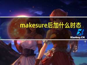 make sure后加什么时态