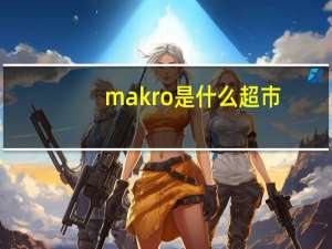 makro是什么超市