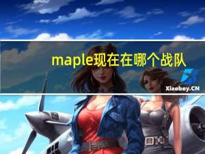 maple现在在哪个战队（maple16）