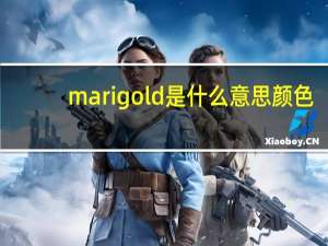 marigold是什么意思颜色