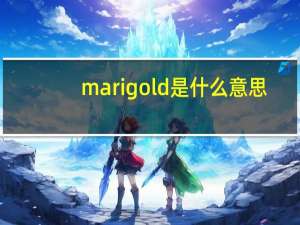marigold是什么意思