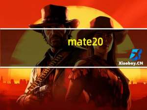 mate20（mate20）