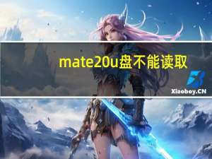 mate20u盘不能读取（华为mate20能读取u盘吗）