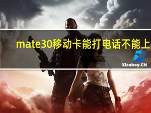 mate30移动卡能打电话不能上网（华为mate30移动数据不能上网）