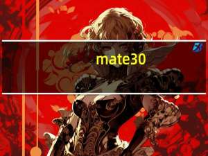 mate30（pro）