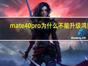 mate40pro为什么不能升级鸿蒙（华为mate40pro怎么升级鸿蒙系统）
