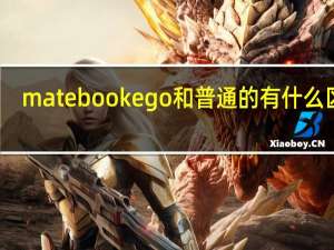 matebookego和普通的有什么区别