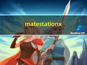 matestation x（MATESTATION）