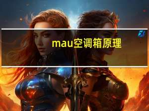 mau空调箱原理