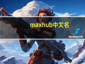 maxhub中文名（maxhub）