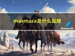 maxmara是什么品牌（max）