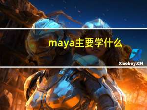 maya主要学什么