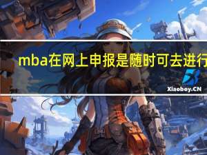 mba在网上申报是随时可去进行吗