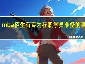 mba招生有专为在职学员准备的课程吗