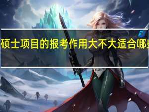 mba硕士项目的报考作用大不大适合哪些人员参加