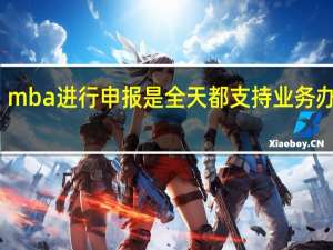 mba进行申报是全天都支持业务办理吗