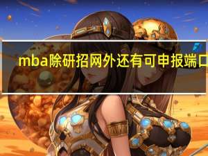mba除研招网外还有可申报端口吗