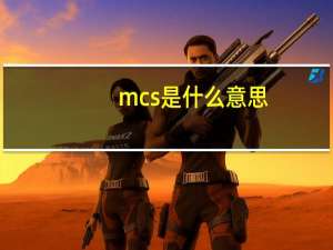 mcs是什么意思