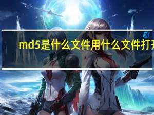 md5  是什么文件用什么文件打开