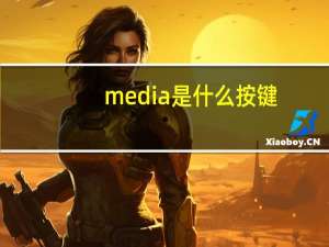 media是什么按键