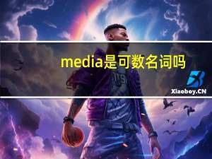 media是可数名词吗