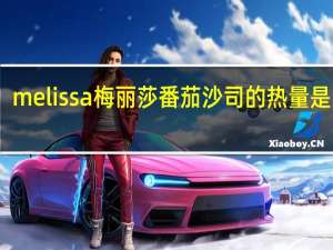 melissa 梅丽莎 番茄沙司的热量是多少