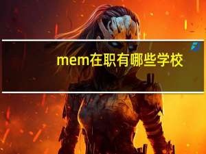 mem在职有哪些学校