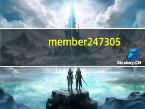 member 247 305（member 247）