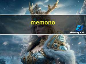memo no（memo no）