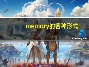 memory的各种形式
