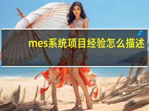 mes系统项目经验怎么描述