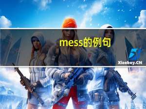 mess的例句