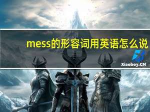 mess的形容词用英语怎么说