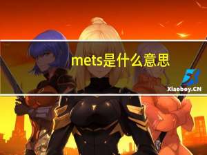 mets是什么意思