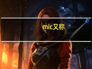 mic又称