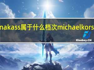 michnakass属于什么档次 michaelkors是什么牌子