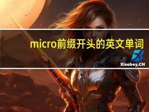 micro前缀开头的英文单词
