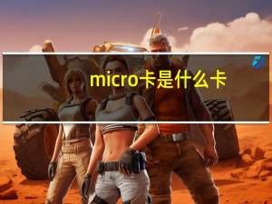 micro卡是什么卡